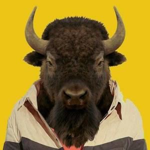 Meet your Posher, Kyle